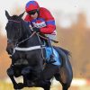 Sprinter Sacre Diamond Painting