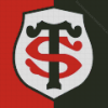 Stade Toulousain Logo Diamond Painting