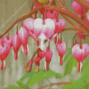 The Asian Bleeding Heart Plant Diamond Painting