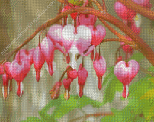 The Asian Bleeding Heart Plant Diamond Painting