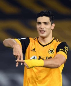 The Footballer Raul Jimenez Diamond Painting