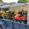 Truck Flowers Diamond Painting