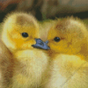 Two Little Ducks Diamond Painting