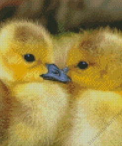 Two Little Ducks Diamond Painting