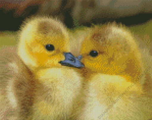 Two Little Ducks Diamond Painting