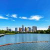 United States Lady Bird Lake Diamond Painting