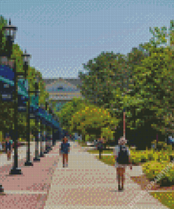 University of North Carolina Wilmington Diamond Painting