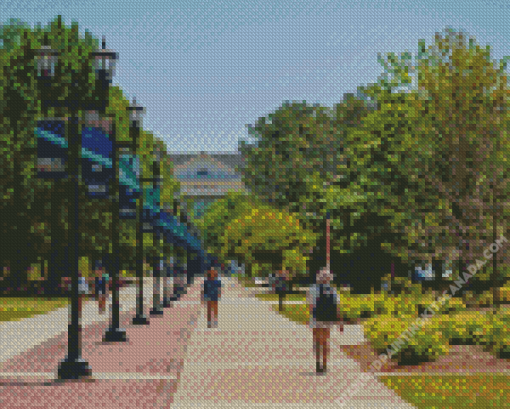 University of North Carolina Wilmington Diamond Painting