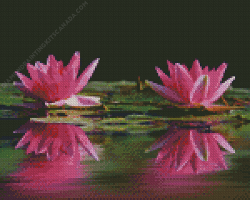 Water Lilies Flowers And Lake Diamond Painting