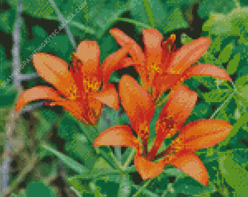 Western Red Lilies Plant Diamond Painting