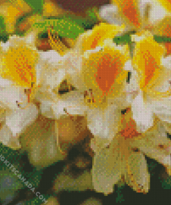 White Yellow Azalea Plants Diamond Painting