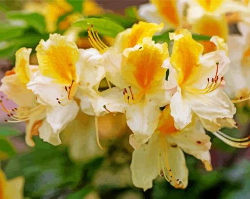 White Yellow Azalea Plants Diamond Painting