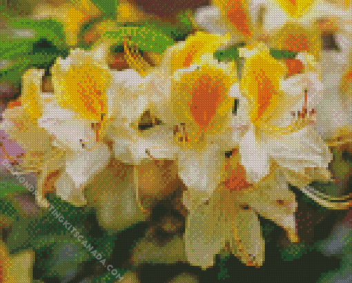 White Yellow Azalea Plants Diamond Painting