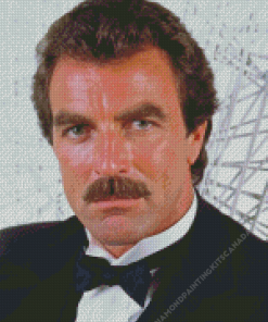 Young American Tom Selleck Diamond Painting