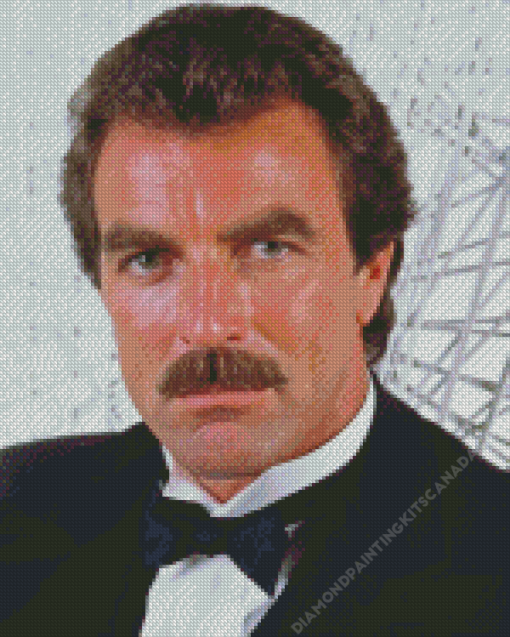 Young American Tom Selleck Diamond Painting