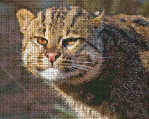 Adorable Fishing Cat Diamond Painting