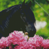 Beautiful Black Horse And Flowers Diamond Painting