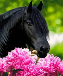Beautiful Black Horse And Flowers Diamond Painting