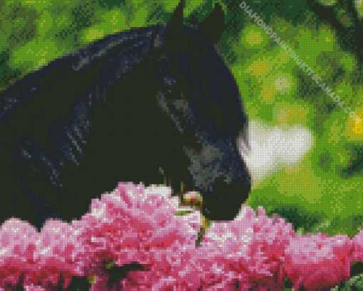 Beautiful Black Horse And Flowers Diamond Painting