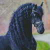 Black Friesian Diamond Painting