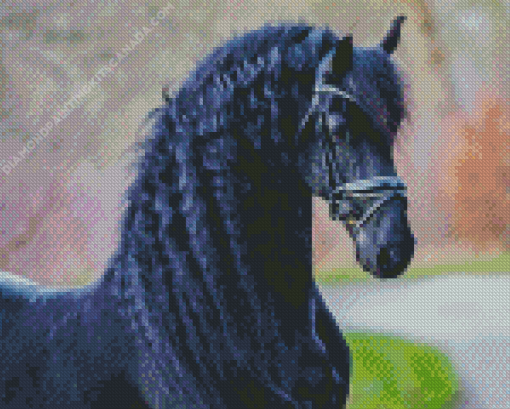 Black Friesian Diamond Painting