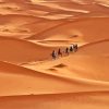 Camel Ride in Brown Landscape Desert Diamond Painting