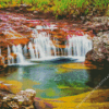 Cano Cristales Colombia Diamond Painting