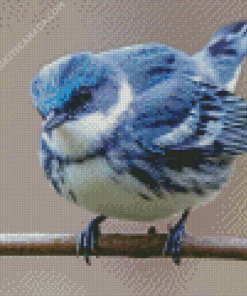 Cerulean Warbler Bird Diamond Painting
