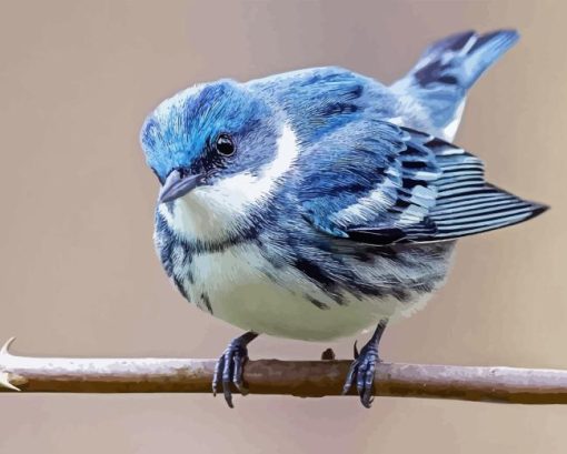 Cerulean Warbler Bird Diamond Painting