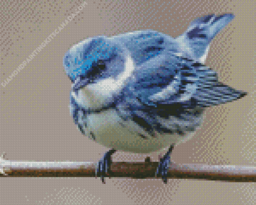 Cerulean Warbler Bird Diamond Painting