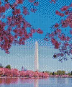 Cherry Blossoms Washington Monument Diamond Painting