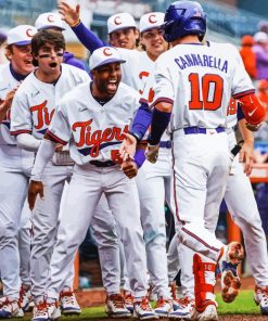 Clemson University Baseball Team Diamond Painting