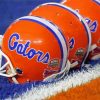 Florida Gators Helmet Diamond Painting