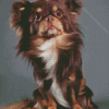 Fluffy Brown Chihuahua Dog Diamond Painting