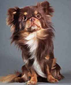 Fluffy Brown Chihuahua Dog Diamond Painting