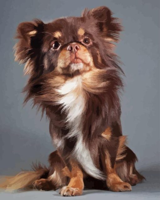 Fluffy Brown Chihuahua Dog Diamond Painting