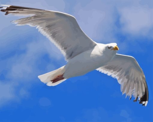 Flying Seagull Diamond Painting