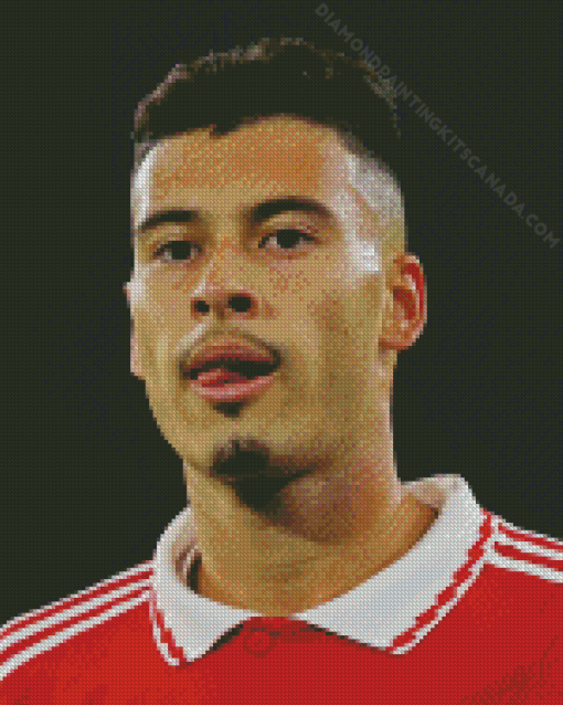 Gabriel Martinelli Diamond Painting