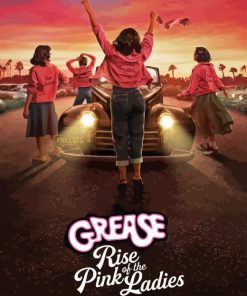 Grease Pink Ladies Poster Diamond Painting