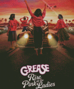 Grease Pink Ladies Poster Diamond Painting