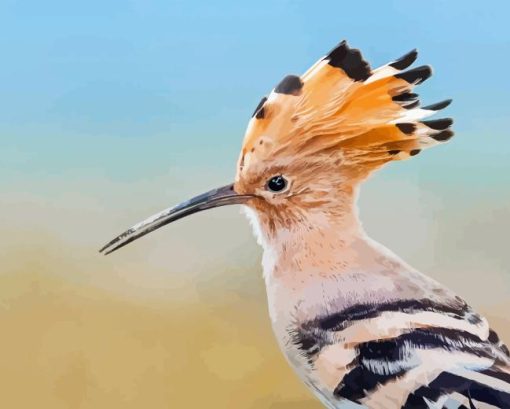 Hoopoe Close Up Diamond Painting