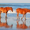 Horses at The Beach Diamond Painting