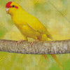 Kakariki Yellow Bird on Tree Diamond Painting