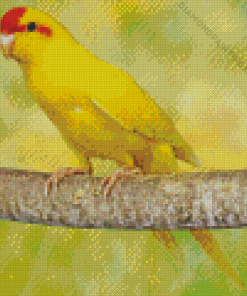 Kakariki Yellow Bird on Tree Diamond Painting