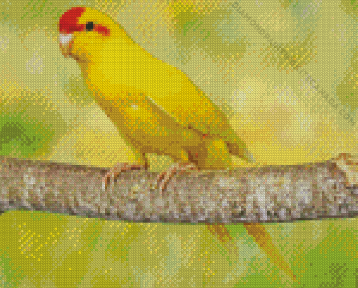 Kakariki Yellow Bird on Tree Diamond Painting