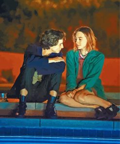 Lady Bird Drama Movie Diamond Painting