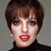 Liza Minnelli Diamond Painting