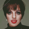 Liza Minnelli Diamond Painting