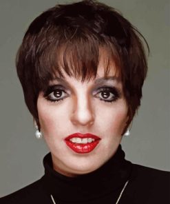 Liza Minnelli Diamond Painting