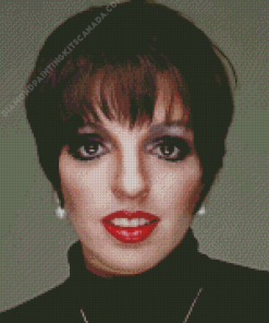 Liza Minnelli Diamond Painting